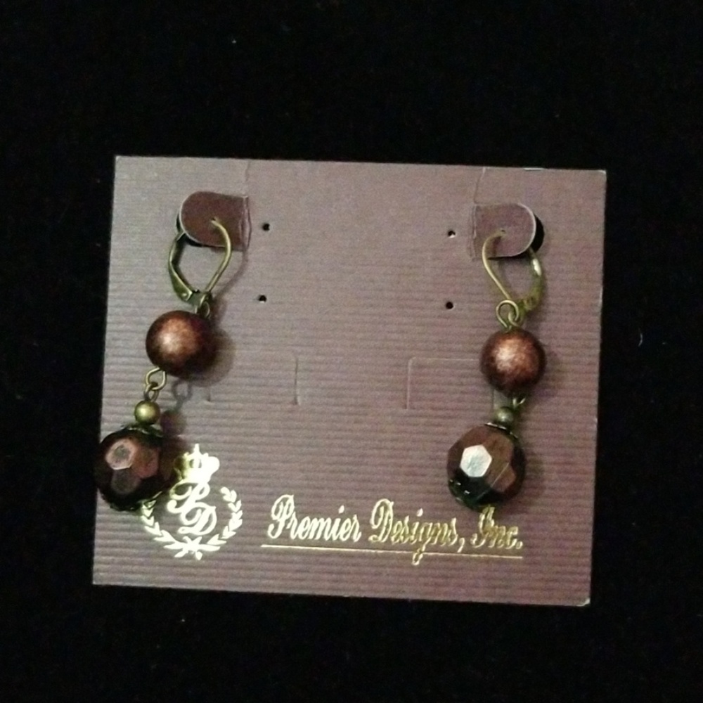 Newberry Earrings by Premier Designs